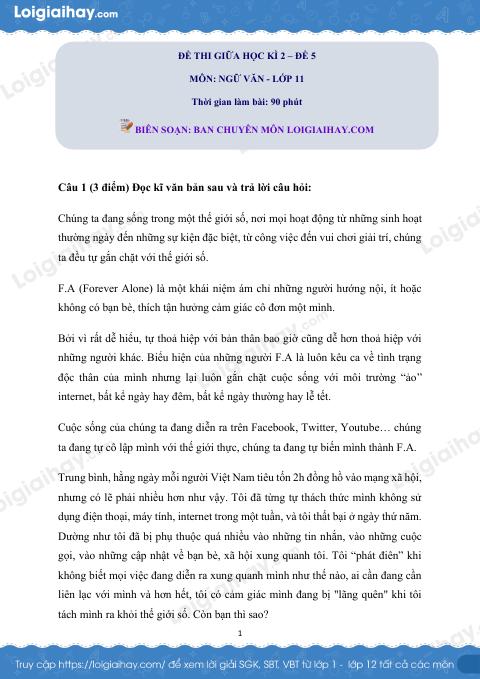 Đề kiểm tra giữa học kì II Ngữ văn 11 - Đề số 5 có lời giải chi tiết